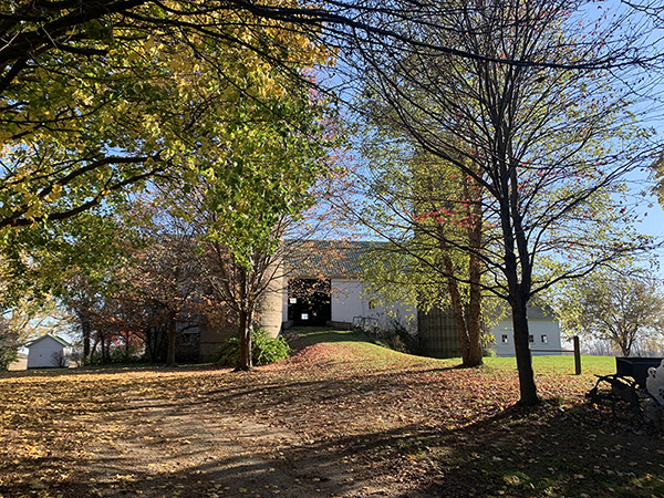 Bride and Groom pose near the trees at the wedding event venue, The Barn 1893 Hampshire, IL