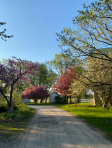 driveway